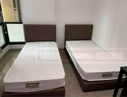 Blk 468 Segar Gardens (Bukit Panjang), HDB 5 Rooms #445770781